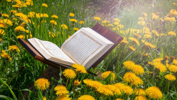 Tafseer ul Quran - Alwise Quran Academy